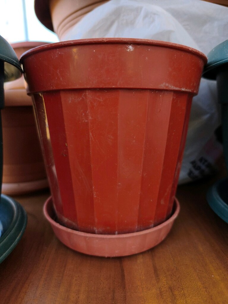 saksı - 2