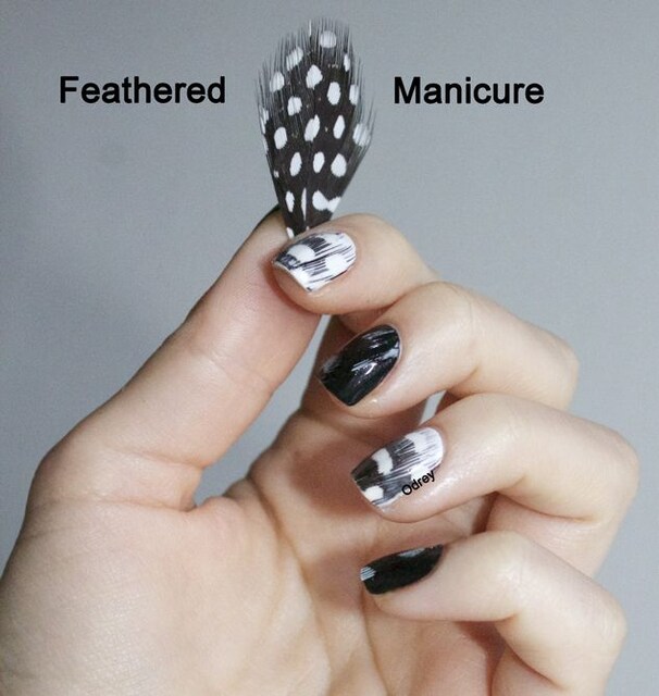İthal Çoklu Tüy Koleksiyonu Nail Art Manikür Tırnak Sanatı
