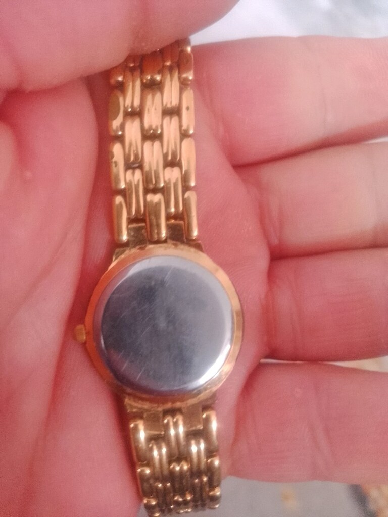 delma Swiss bayan saat - 2