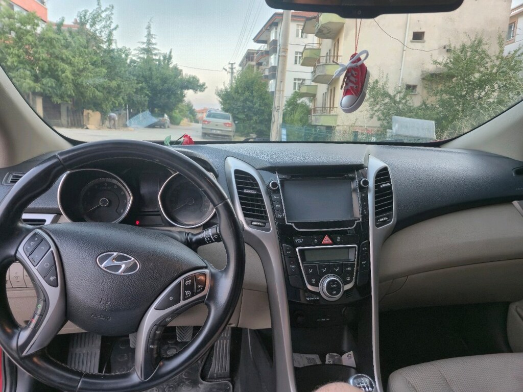 SAHİBİNDEN KIRMIZI GÜL İ30 - 11
