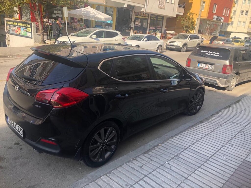 Kara şimşek yeni sahibini arıyor - 6