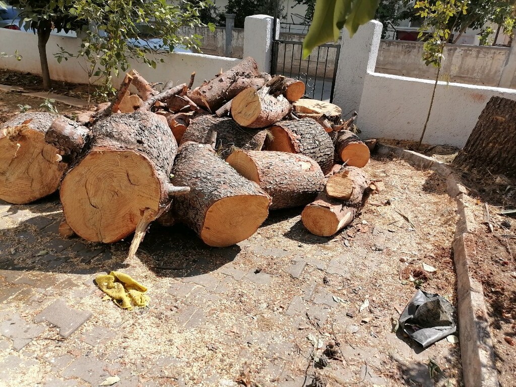 Odun - 2