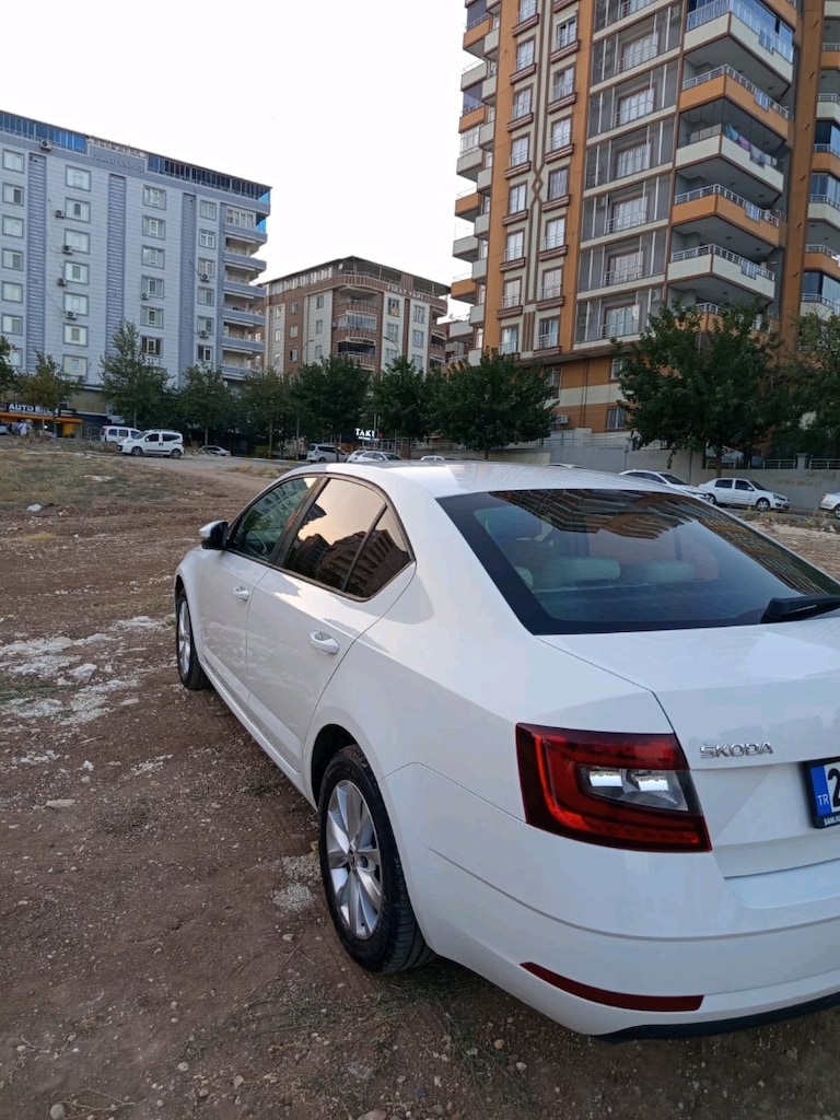 Memur arabası...Octavia Style 2017 Model Style Cr. - 5