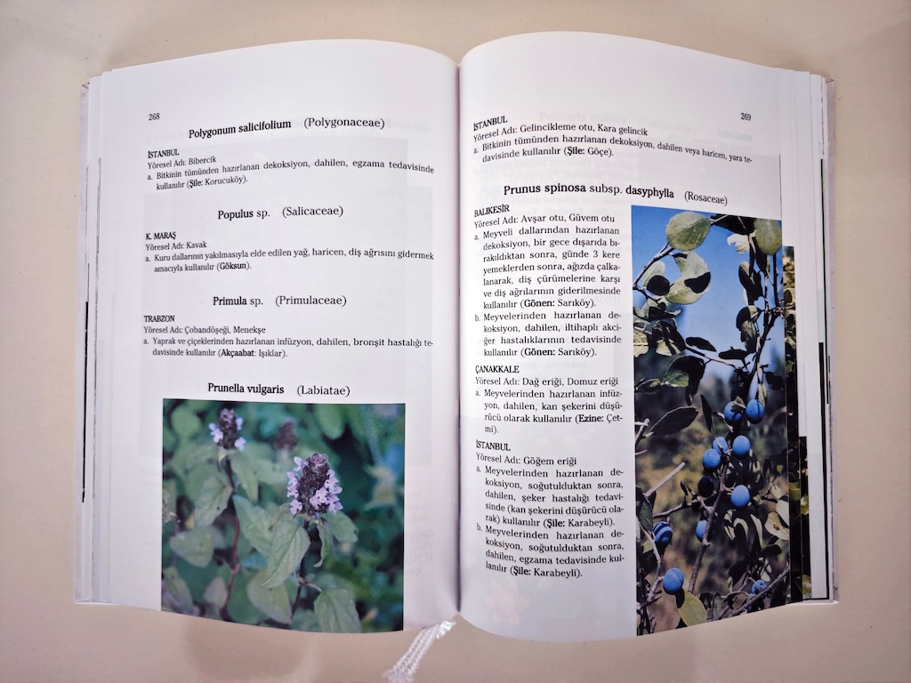 Kitap / Şifa Niyetine Türkiye'nin Bitkisel Halk İlaçları - 4