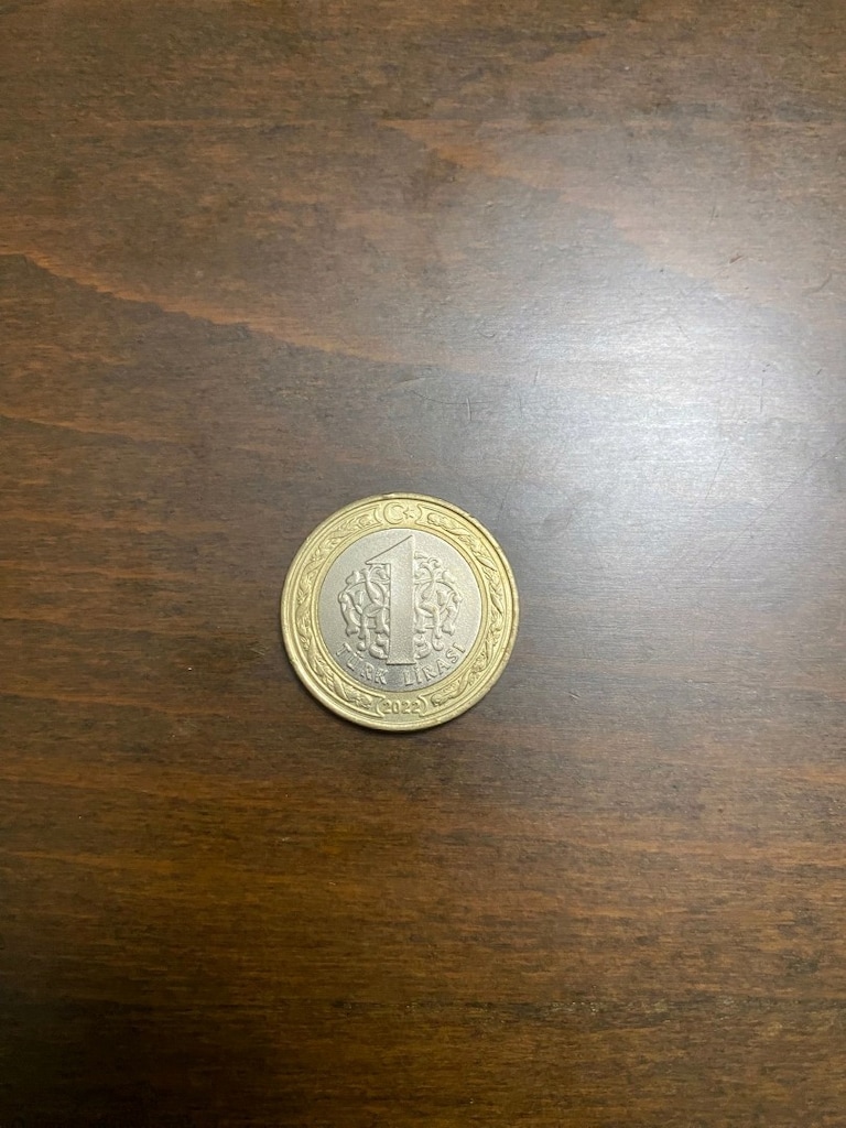 100. yıla özel para