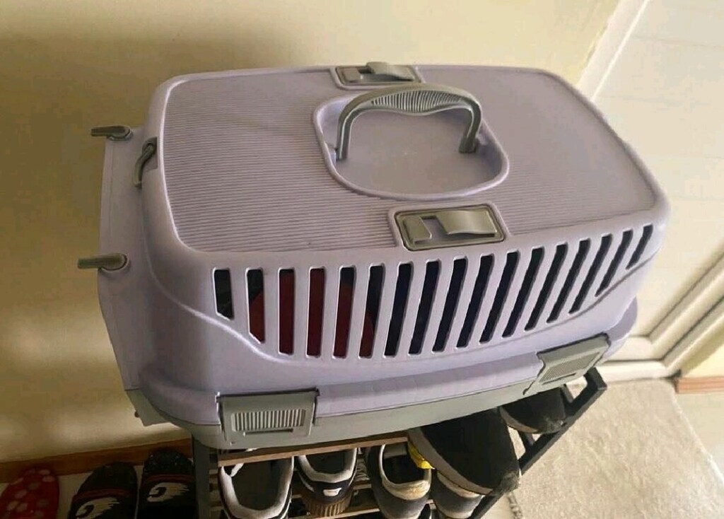 Kedi puseti sadece 2 kez ancak kullanıldı tertemiz sağlam - 2