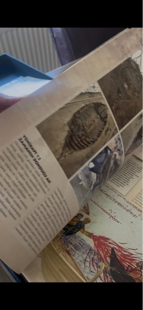 Arkeoloji Sırları (Ciltli, Temiz Durumda) - 10