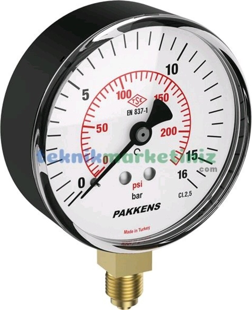 Pakkens 0-25 Bar 100 mm Alttan Bağlantılı Kuru Manometre G 1/2 - 2