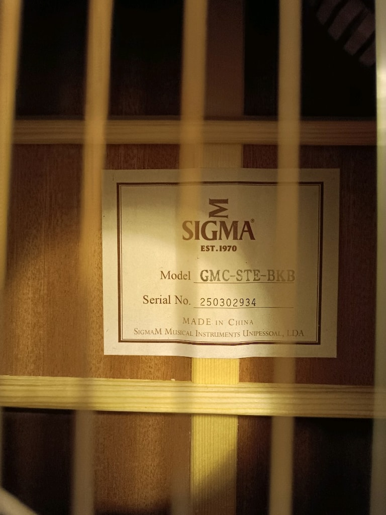 Sigma Elektro Akustik Gitar - 7