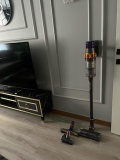 Dyson v15 - 6