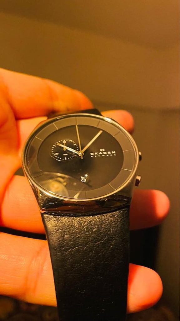 Orjinal Skagen Yaprak model saat - 2