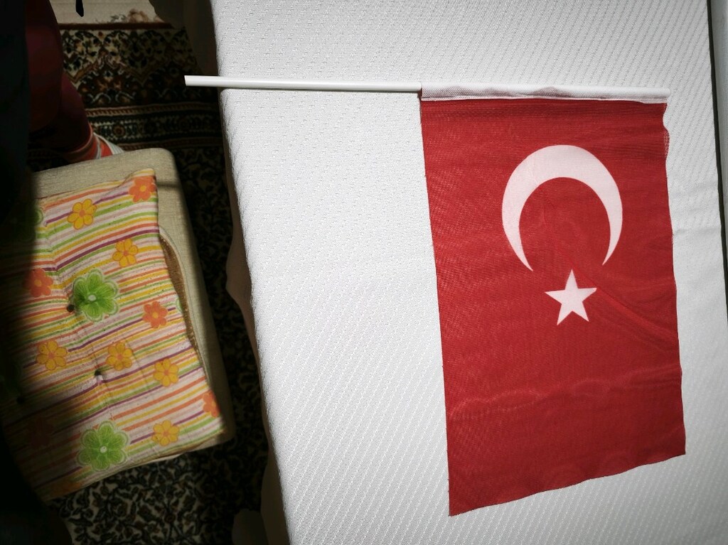 Kağıt Türk Bayrağı saplı 30,5*20,5 cm. - 5