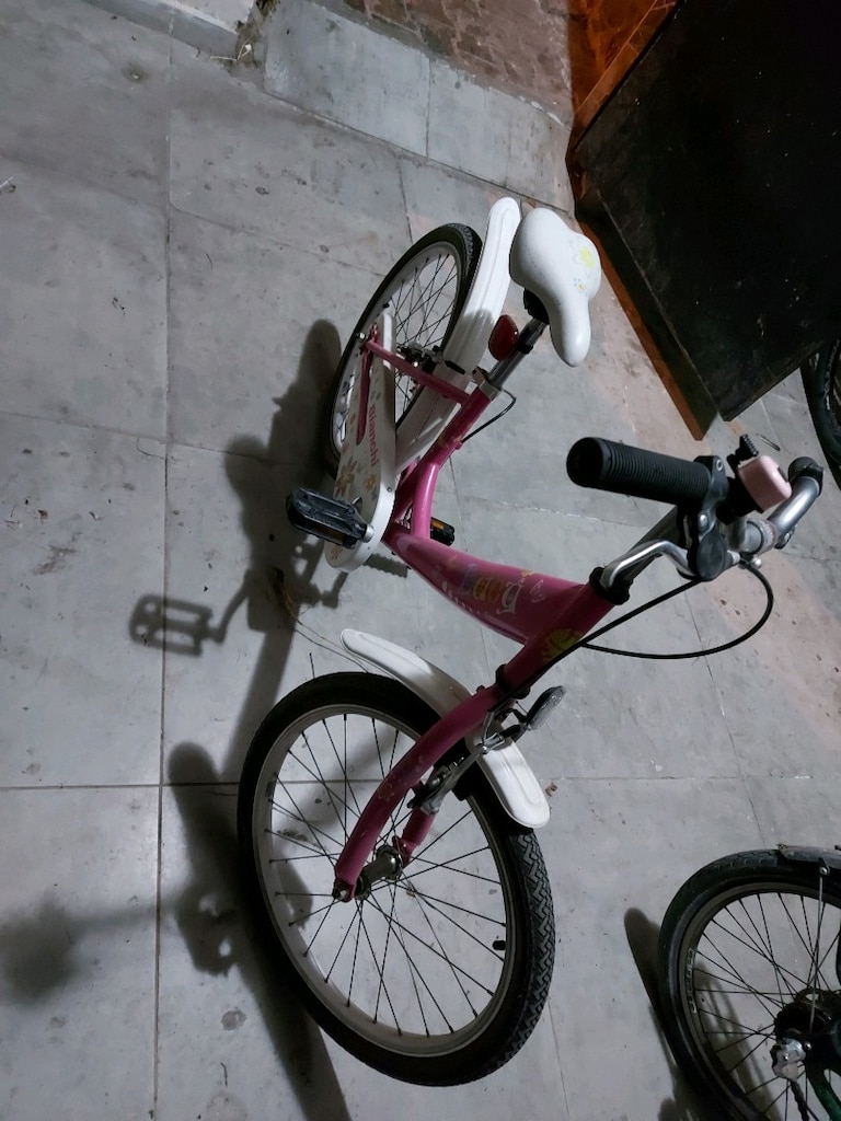 Bianchi Kız bisikleti