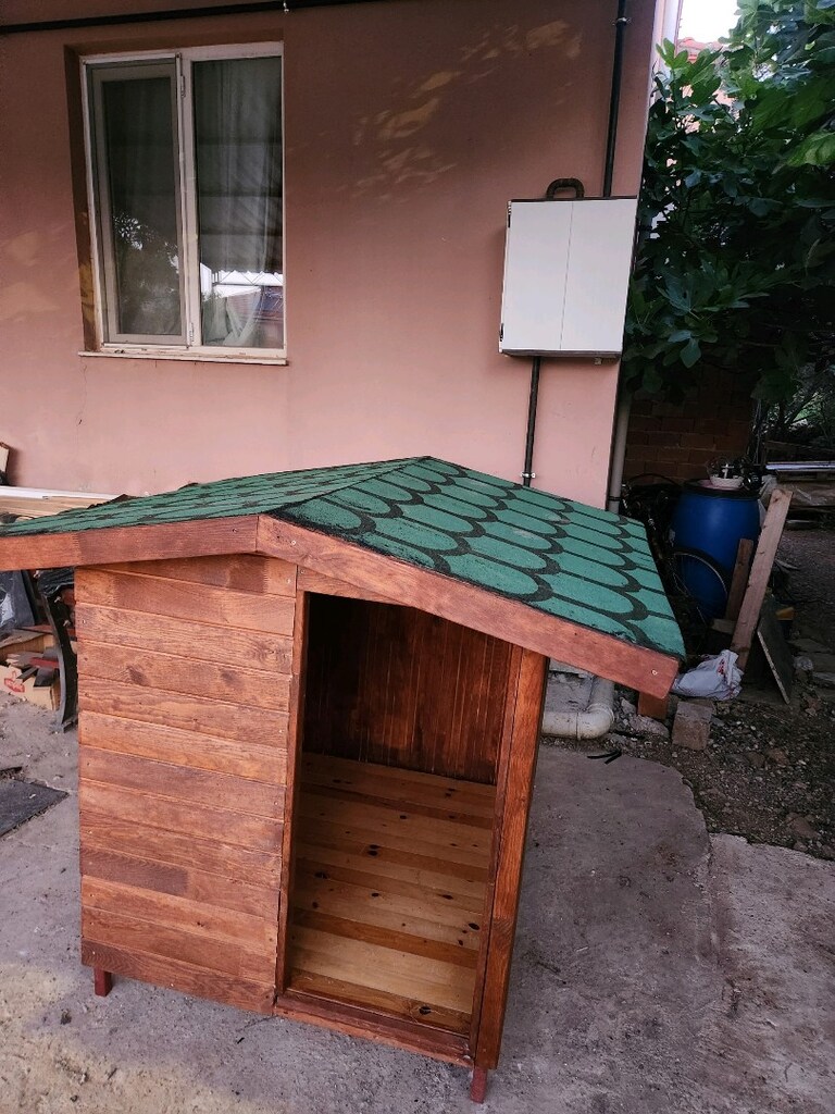 Büyük Köpek kulübesi sıfır