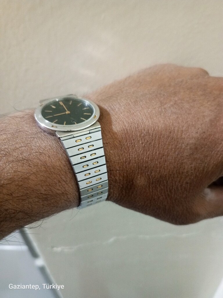 citizen ouartz japan yaprak kasa - 4