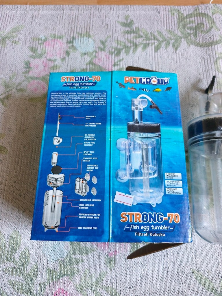 Akvaryum yumurtalık ve yavruluk - 2