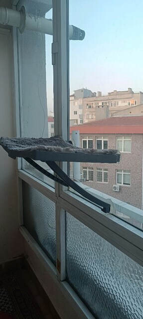 kedi malzemeleri