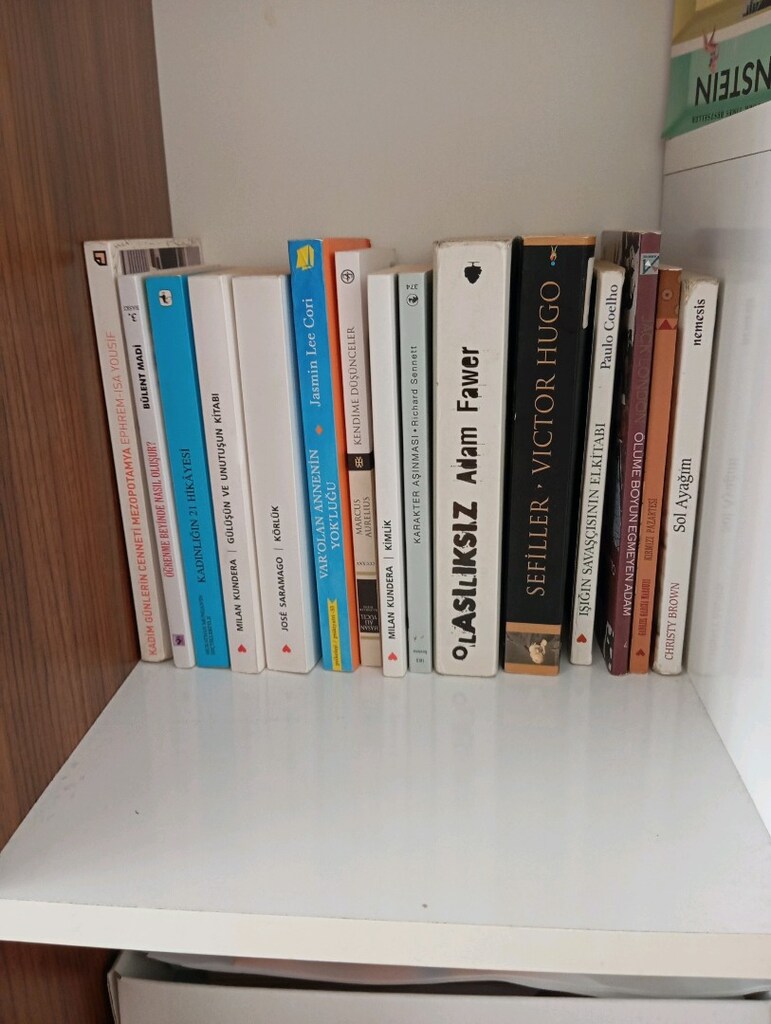 kitaplığım satıyorum - 9