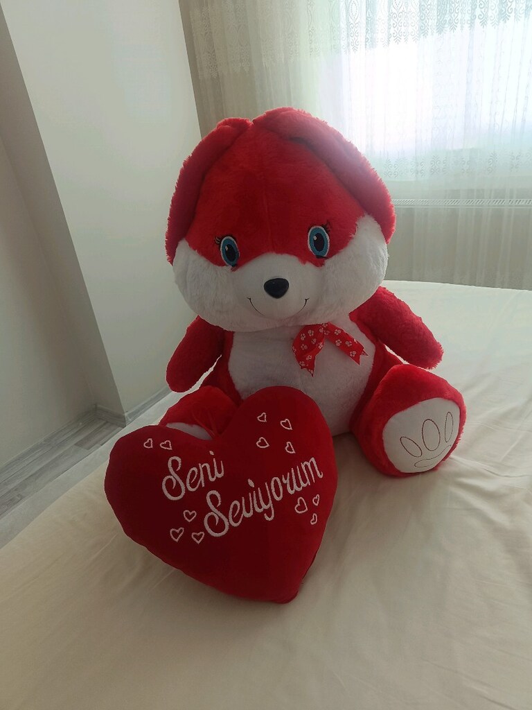 peluş tavşan ve kalpli yastik - 3