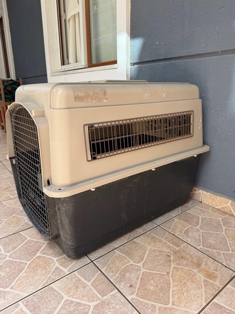 köpek seyahat kafesi