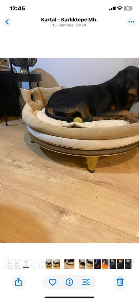 şık tasarım büyük köpek yatağı - 3