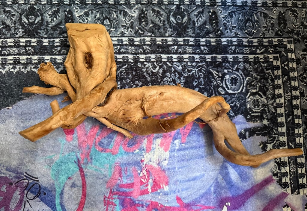 Yati kökü 55CM - 2