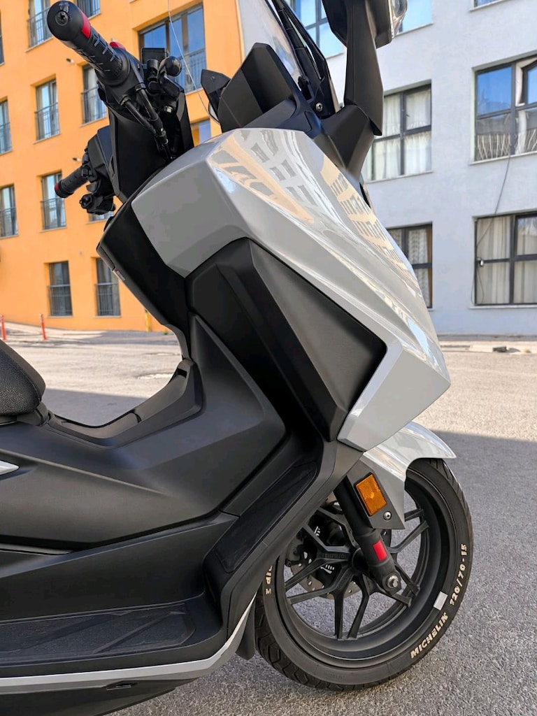 Forza 250 Açıklama Oku - 6