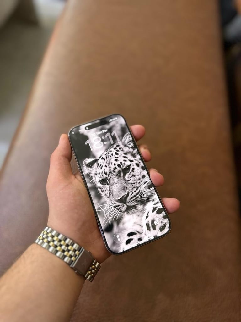16 PRO 256 GB - 2