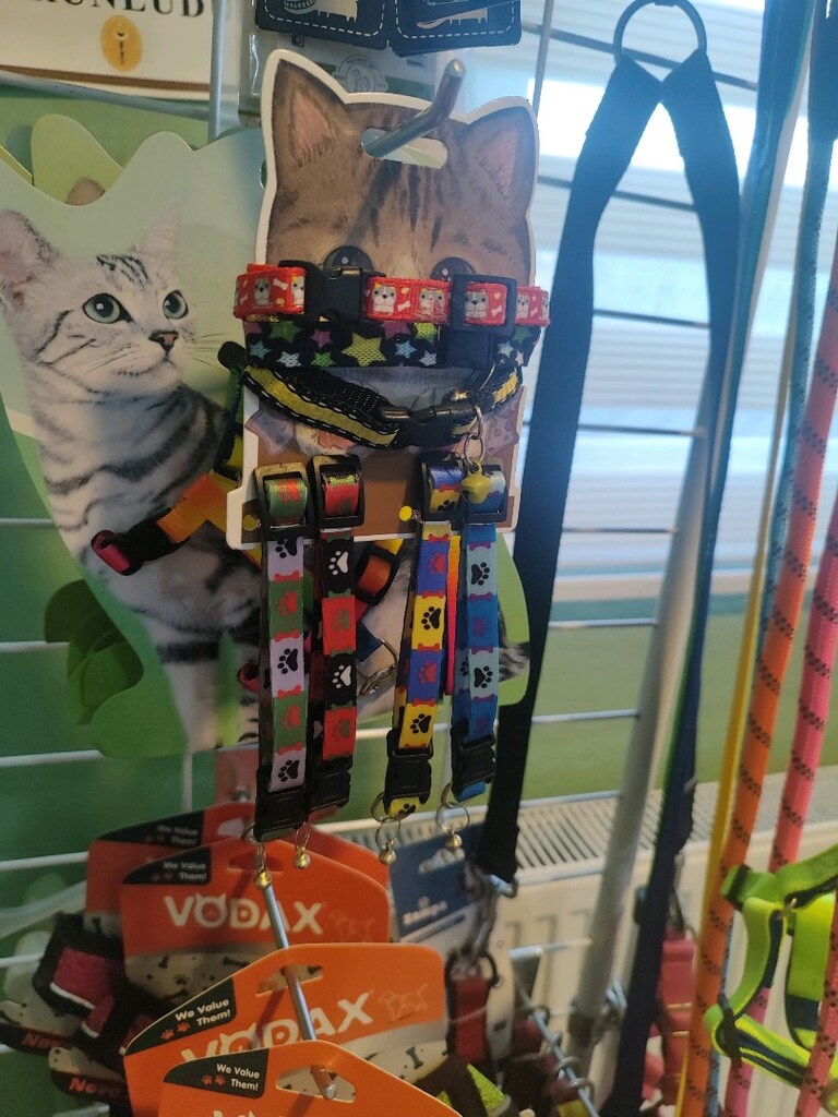kedi tasmaları - 2