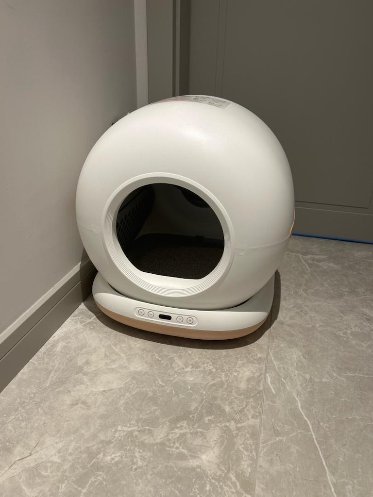 Otomatik Kedi Tuvaleti