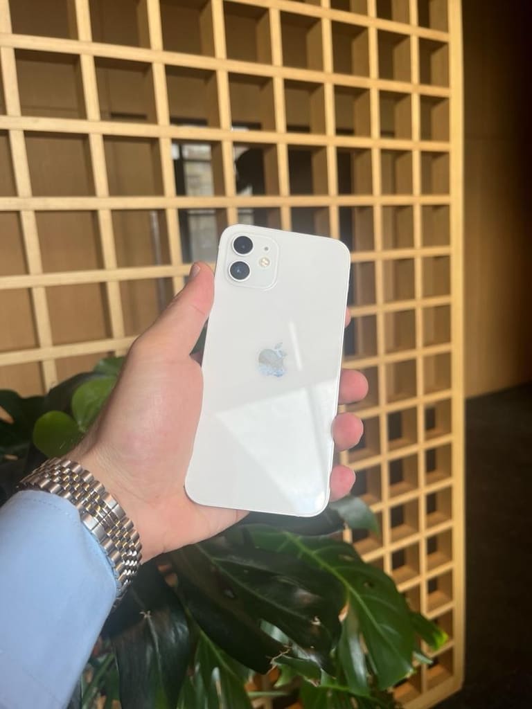 Tertemiz iPhone 12
