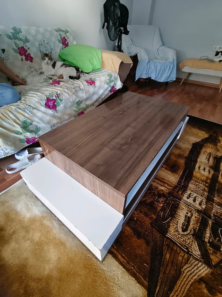 TV ünitesi & orta sehpa - 2