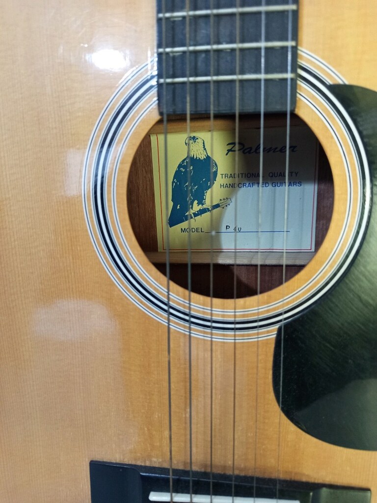 palmer akustik gitar 40 - 4