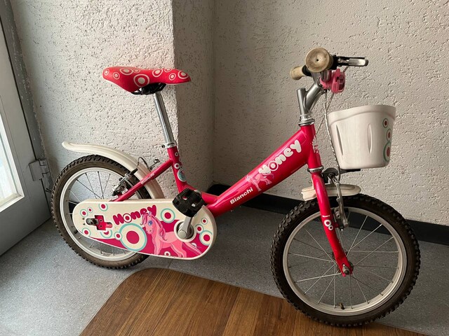 bianchi bisiklet