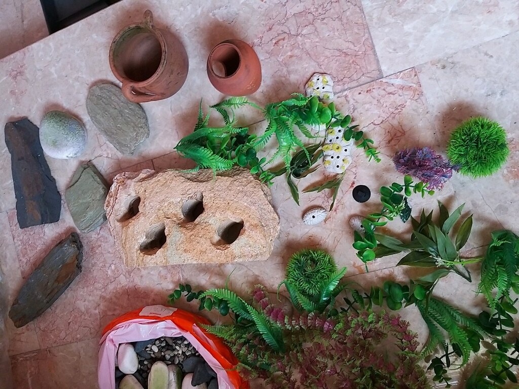 akvaryum taslari - 23