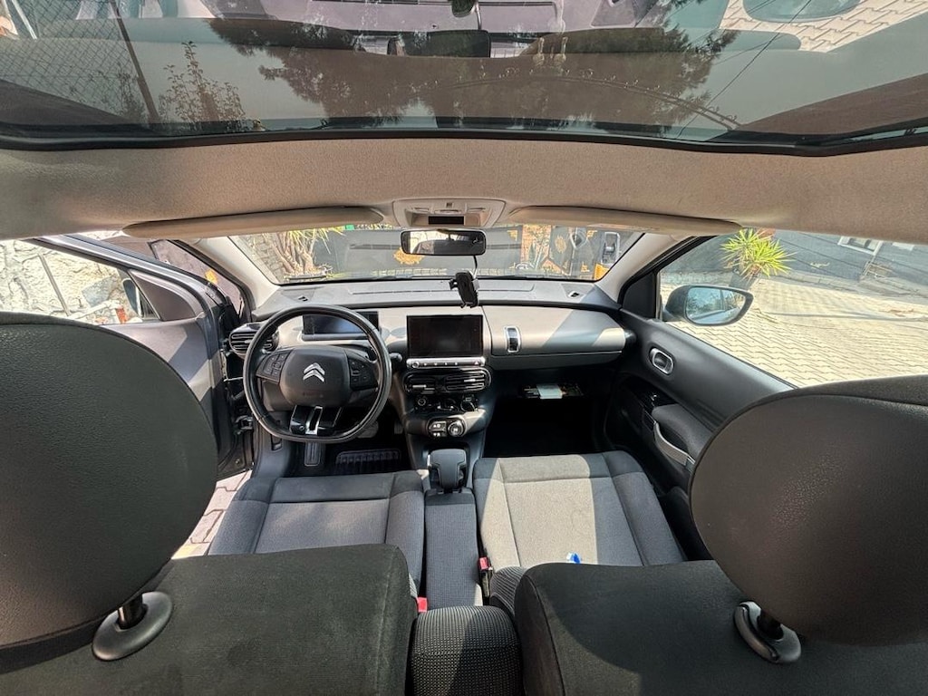 Acil Satılık C4 Cactus - 6