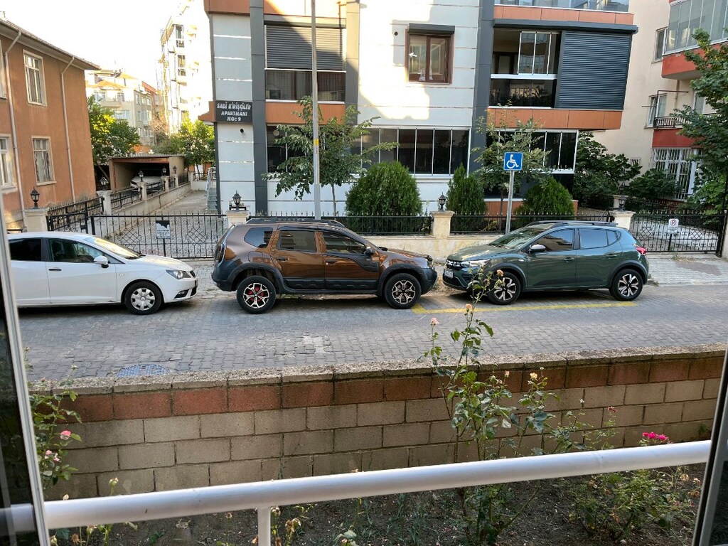 Dağ keçisi - 9