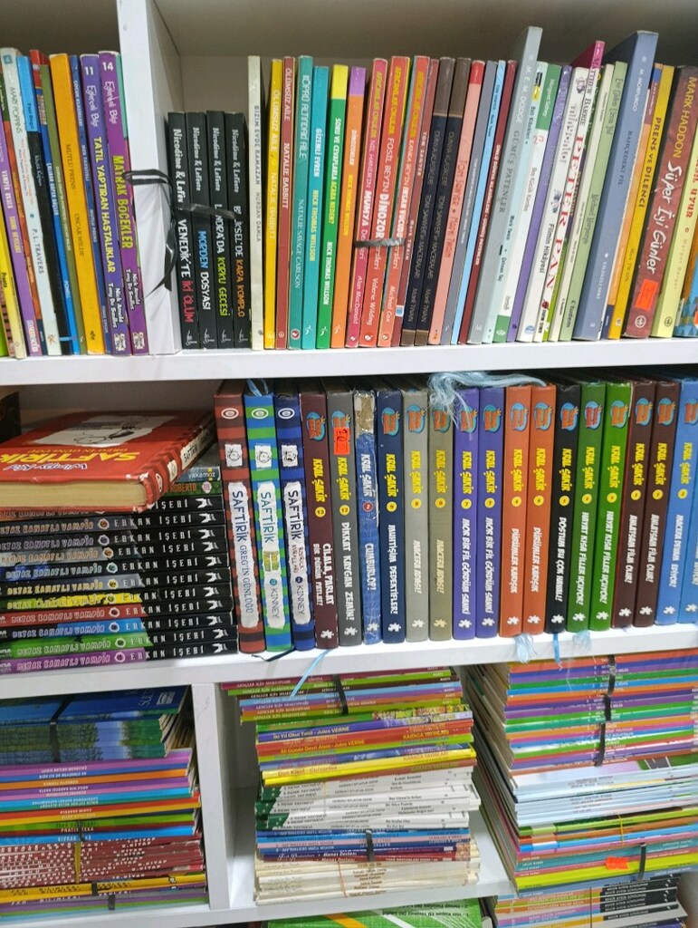 herkesin aradığı çocuk kitapları - 6
