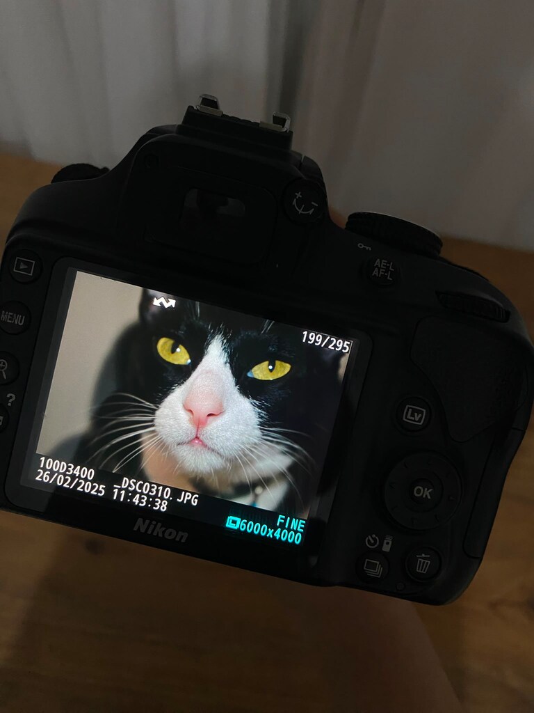 Nikon D3400 18-55 Lens | Temiz Kullanılmış | Düşük Shutter | Çantalı - 3