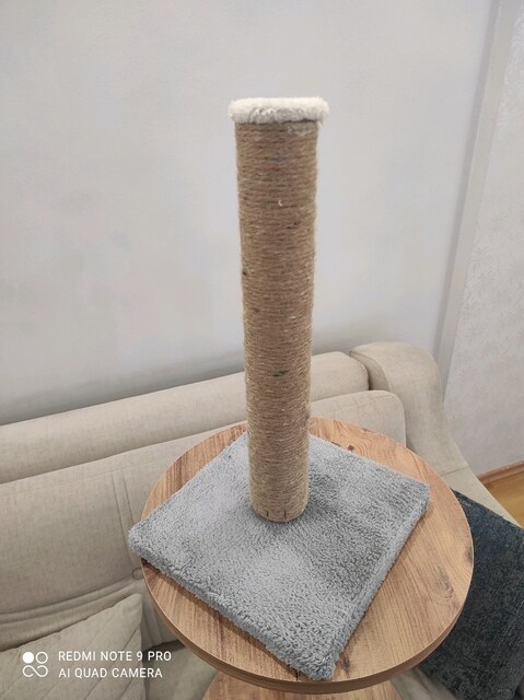 kedi tırmalama tahtasi