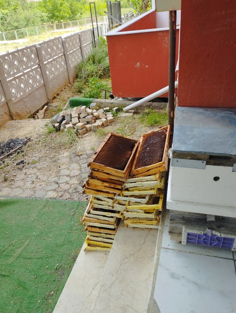 satılık arı kovani - 7