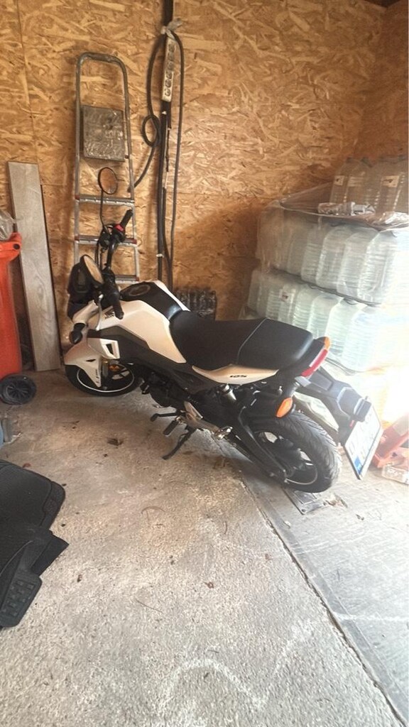 Honda Msx125 - 2