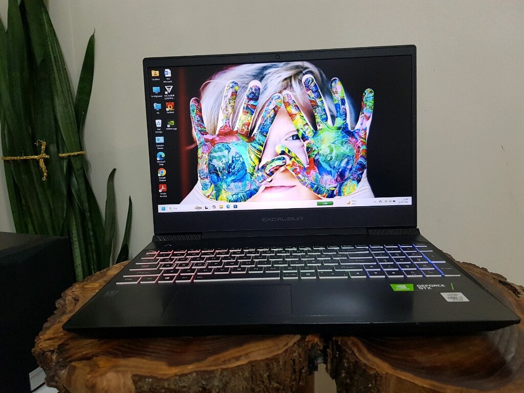 Excalibur i7-10750H GTX 1650 EKRAN KARTI 16 GB DDR4 RAM - 3