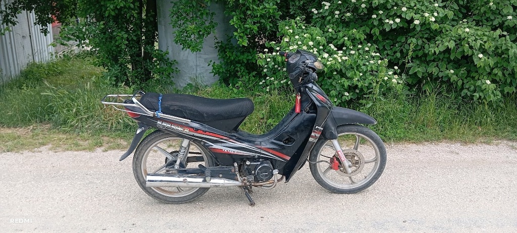 cup motor - 3
