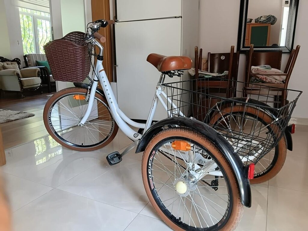 carraro bisiklet - 2
