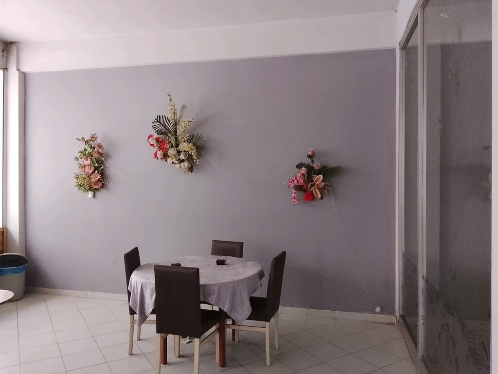 ışıklar ve çiçekler - 4