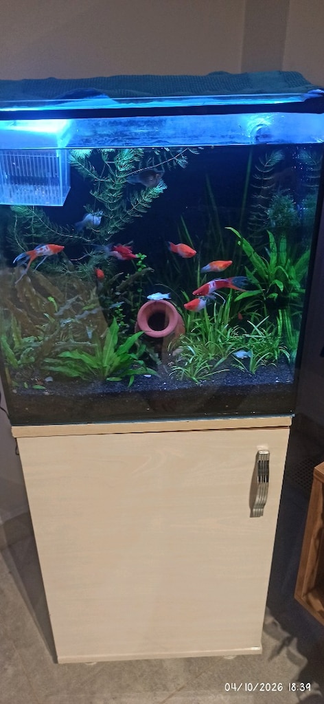 45 45 45 küp akvaryum buhar kapağı dolabı kumu bitkisi - 5