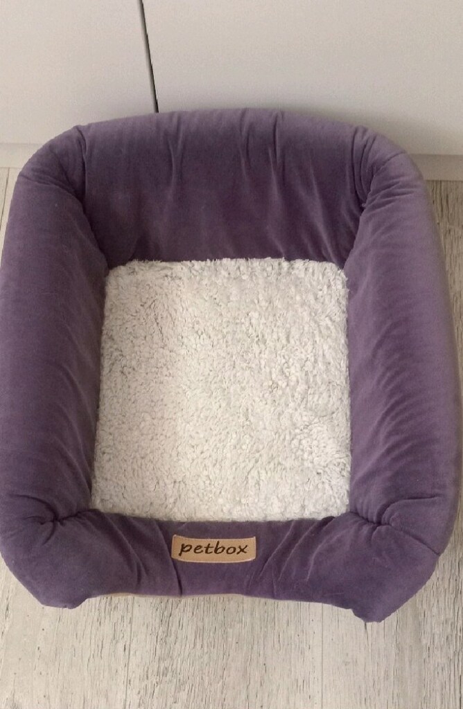 PAZARLIK YOK PETBOX KEDİ EVİ - 2