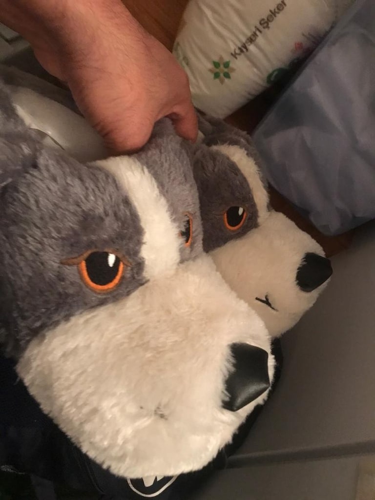 pofuduk köpek patik terlik bot SIFIR 42 43 44 numara kışlık soğuk