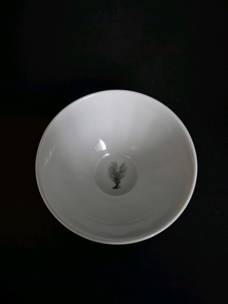 PAŞABAHÇE KOLEKSİYONLUK KASE - 4